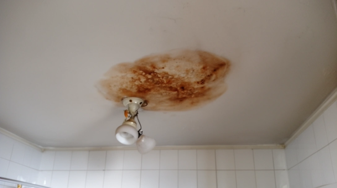 Techo de un baño con una mancha de humedad cerca de la luz